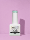 Gel Polish GP42